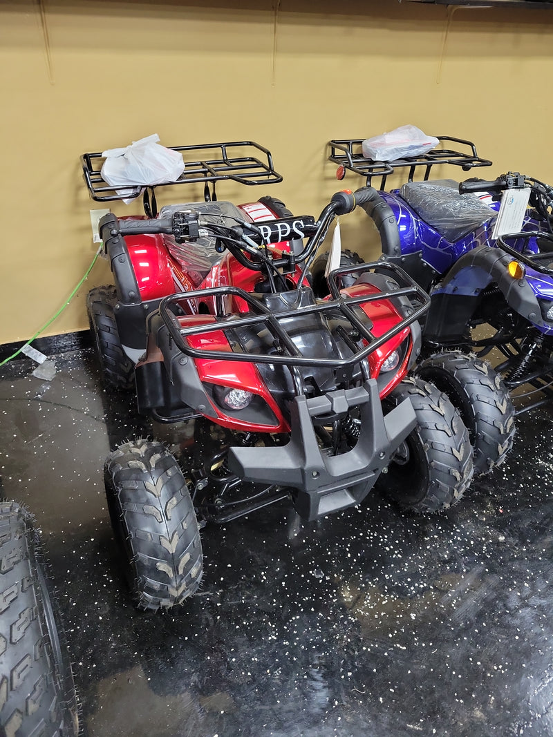 Load image into Gallery viewer, 125cc atv ryder 8
