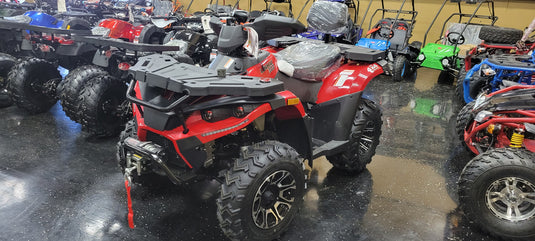 300cc terminator 4x4 atv